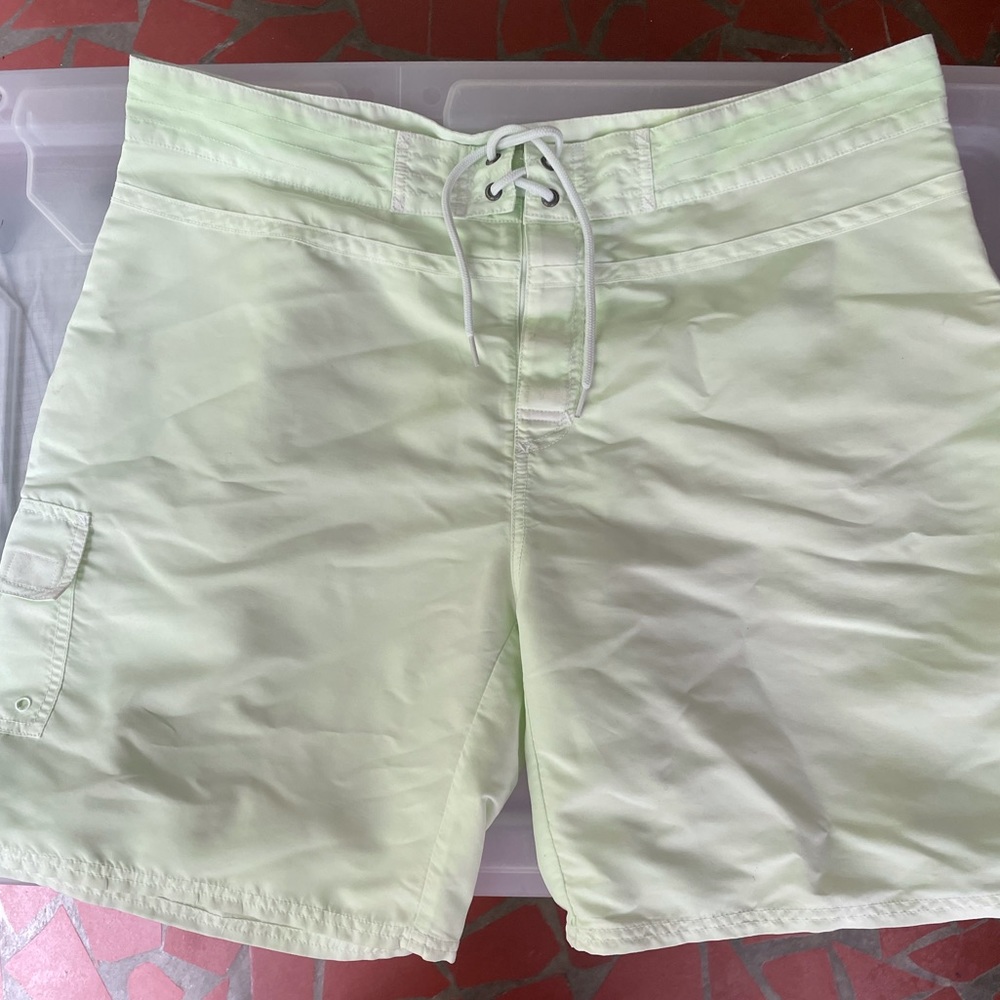 Light green vinyard vines trunks